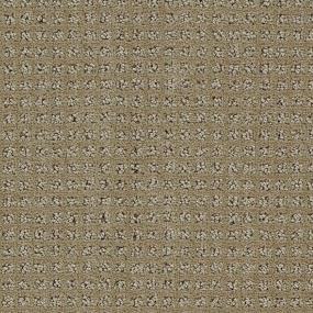 Pattern Chino Brown Carpet