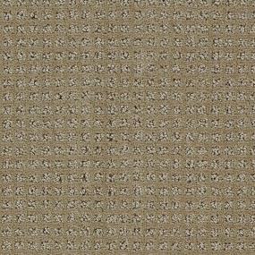 Pattern Chino Brown Carpet