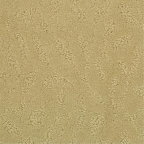 Pattern Trench Coat Beige/Tan Carpet