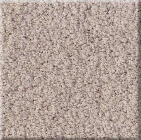 Plush Chert Beige/Tan Carpet