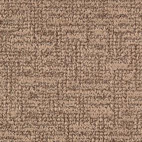 Pattern Driftwood Brown Carpet