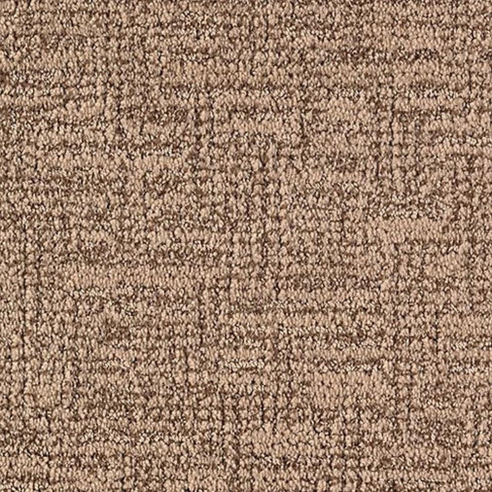Pattern Driftwood Brown Carpet