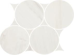 Mosaic Pacifica Polished Beige/Tan Tile