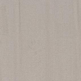 Pattern Insightful Gray Carpet