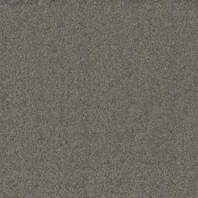 Textured Saxony Straight Forward Brown Carpet
