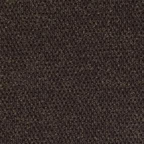 Specialty LIGHTS OUT Brown Carpet Tile