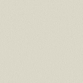 Texture Chalk White Carpet