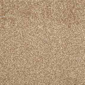 Casual Texture Mountain Mist Beige/Tan Carpet
