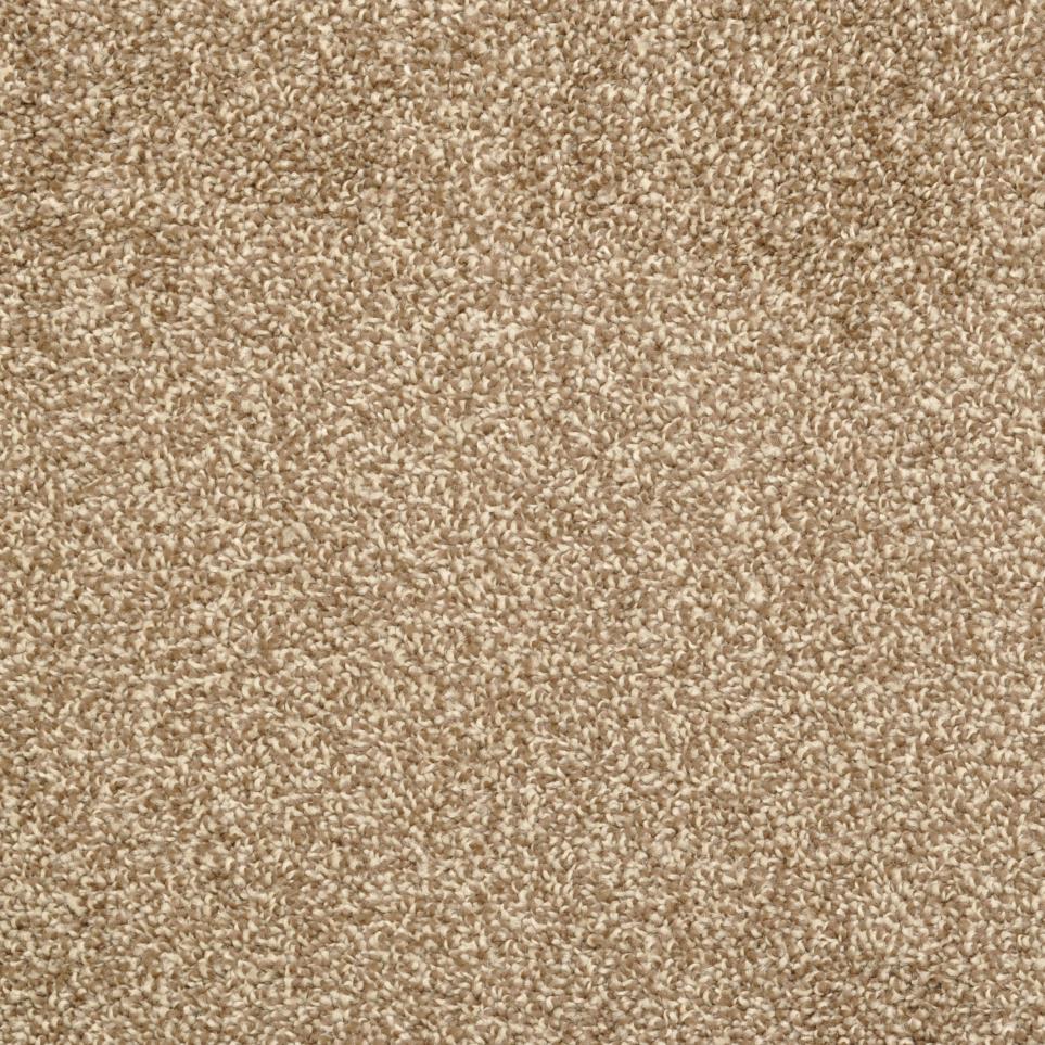 Casual Texture Mountain Mist Beige/Tan Carpet