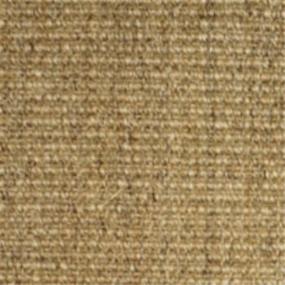 Pattern Thatch Beige/Tan Carpet