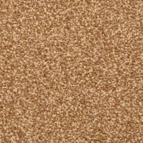 Frieze Yucatan Brown Carpet