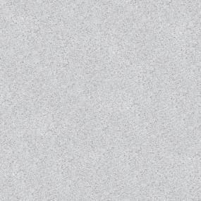 Textured Saxony Sidewalk Gray Carpet