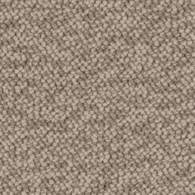 Loop Cottage Retreat Brown Carpet