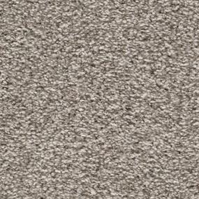 Textured Saxony Harmony Gray Carpet