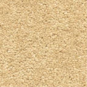 Casual Texture Rubio Beige/Tan Carpet