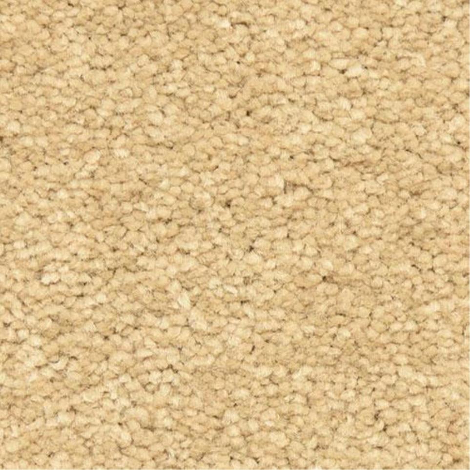 Casual Texture Rubio Beige/Tan Carpet