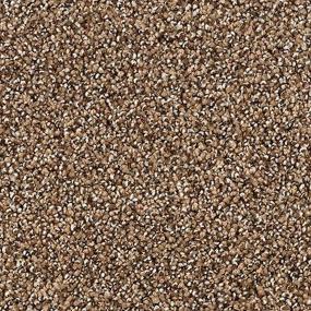 Textured Saxony Saddle Brown Carpet