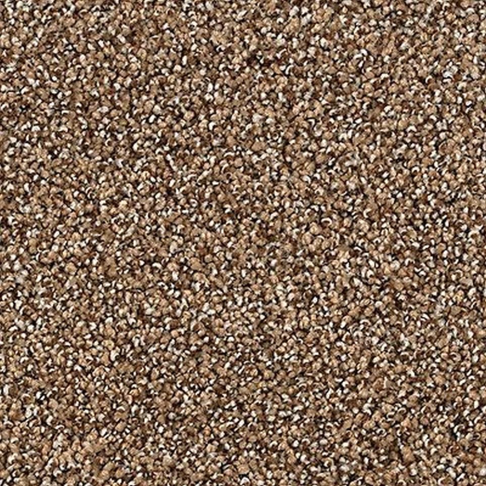 Textured Saxony Saddle Brown Carpet