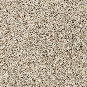 Textured Saxony Renoir Bisque Beige/Tan Carpet