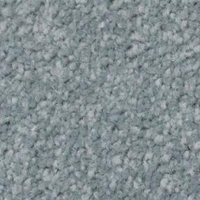 Texture Waterfront Gray Carpet