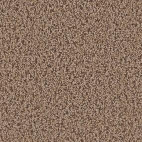 Textured Saxony Sonora Beige/Tan Carpet