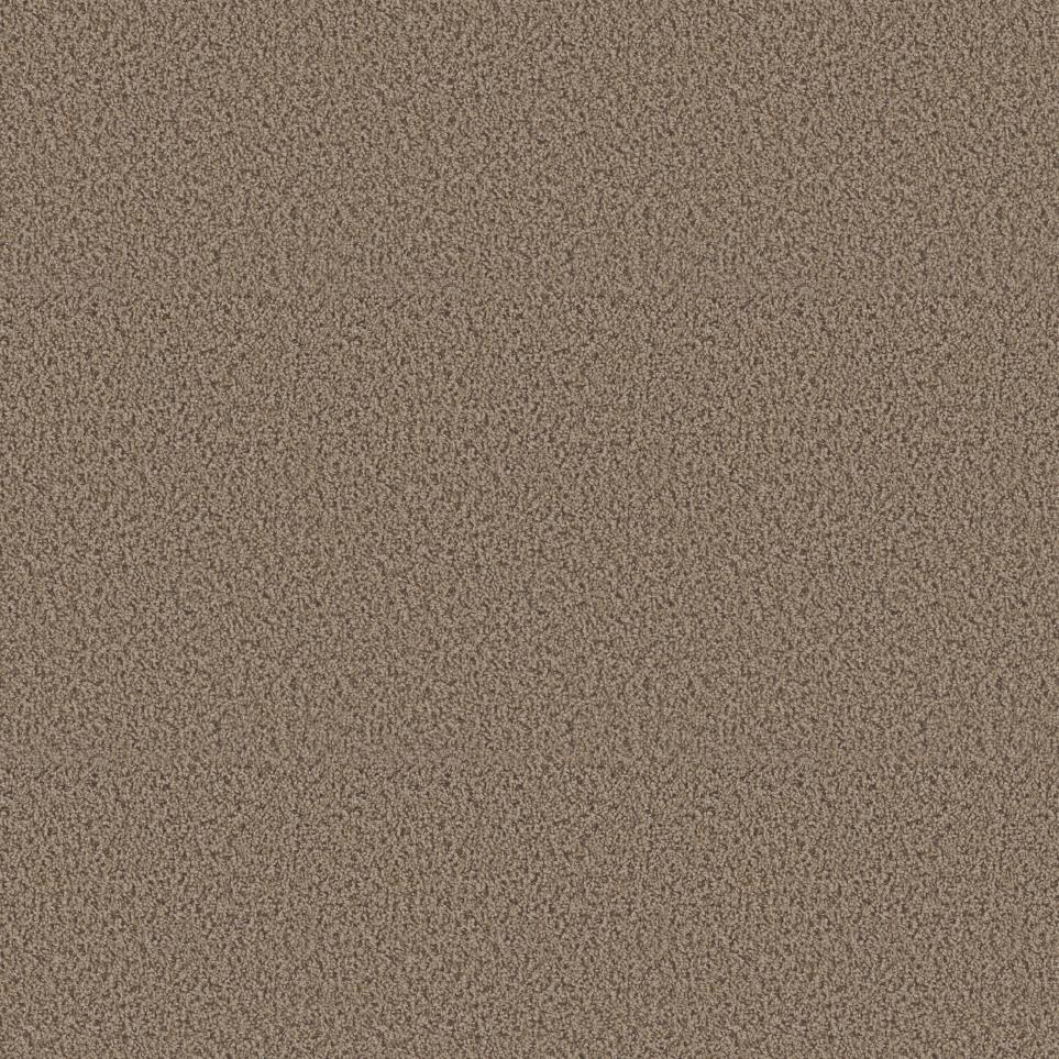 Texture Sonora Beige/Tan Carpet