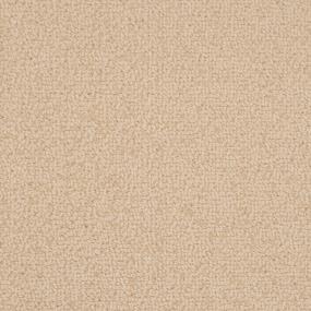 Loop Sequin Beige/Tan Carpet