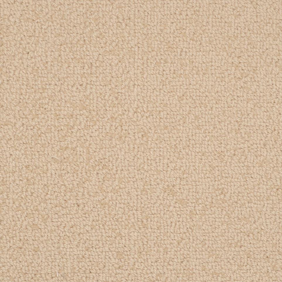 Loop Sequin Beige/Tan Carpet