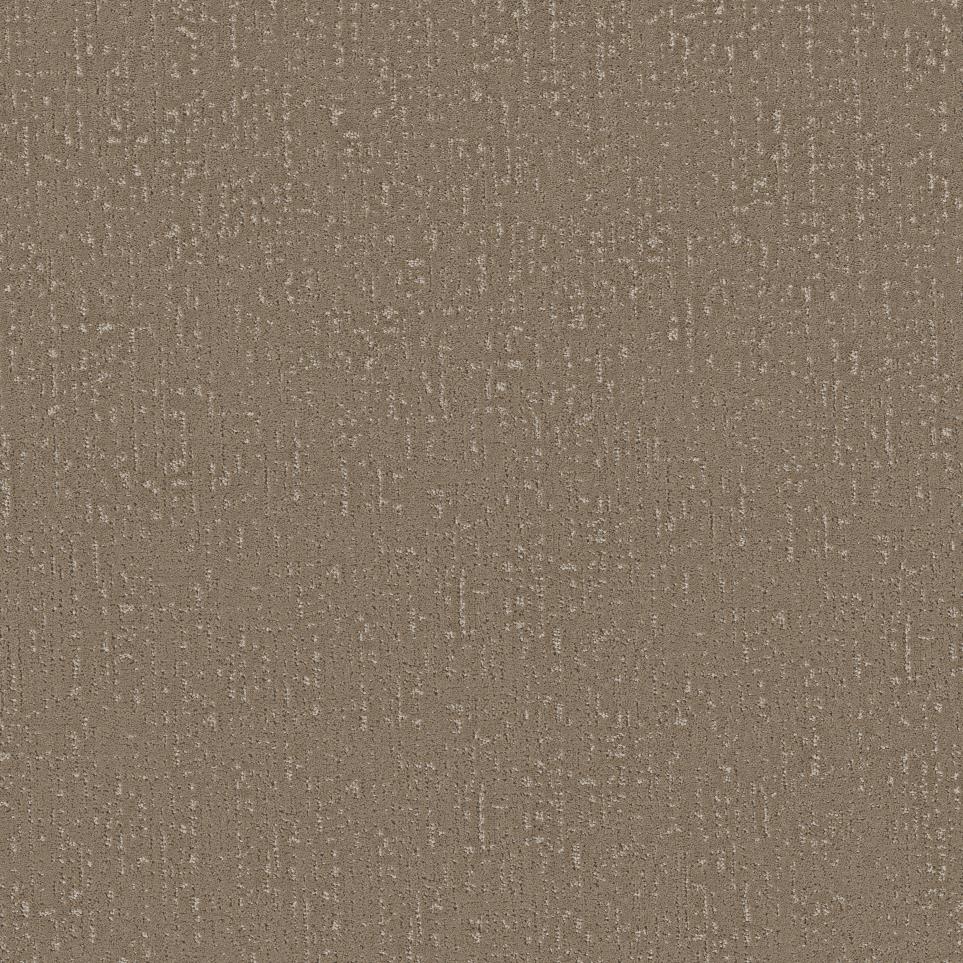 Pattern Camelback Brown Carpet