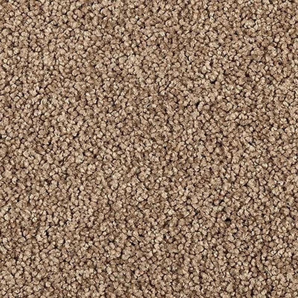 Texture Palm Springs Brown Carpet