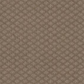 Pattern Fawn Bark Brown Carpet