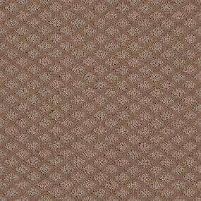 Pattern Fawn Bark Brown Carpet