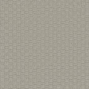 Pattern Chivalrous Gray Carpet