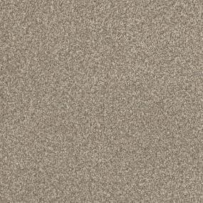 Textured Saxony Outlook Brown Carpet