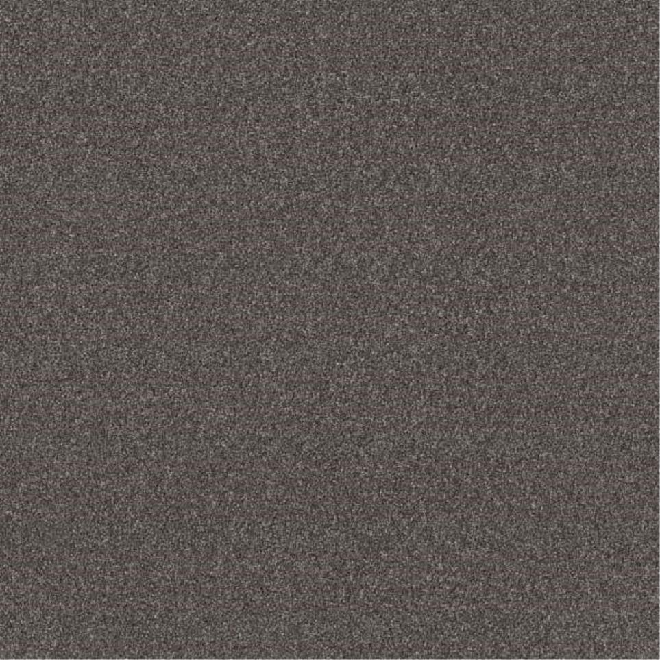 Casual Texture Ship Yard Brown Carpet