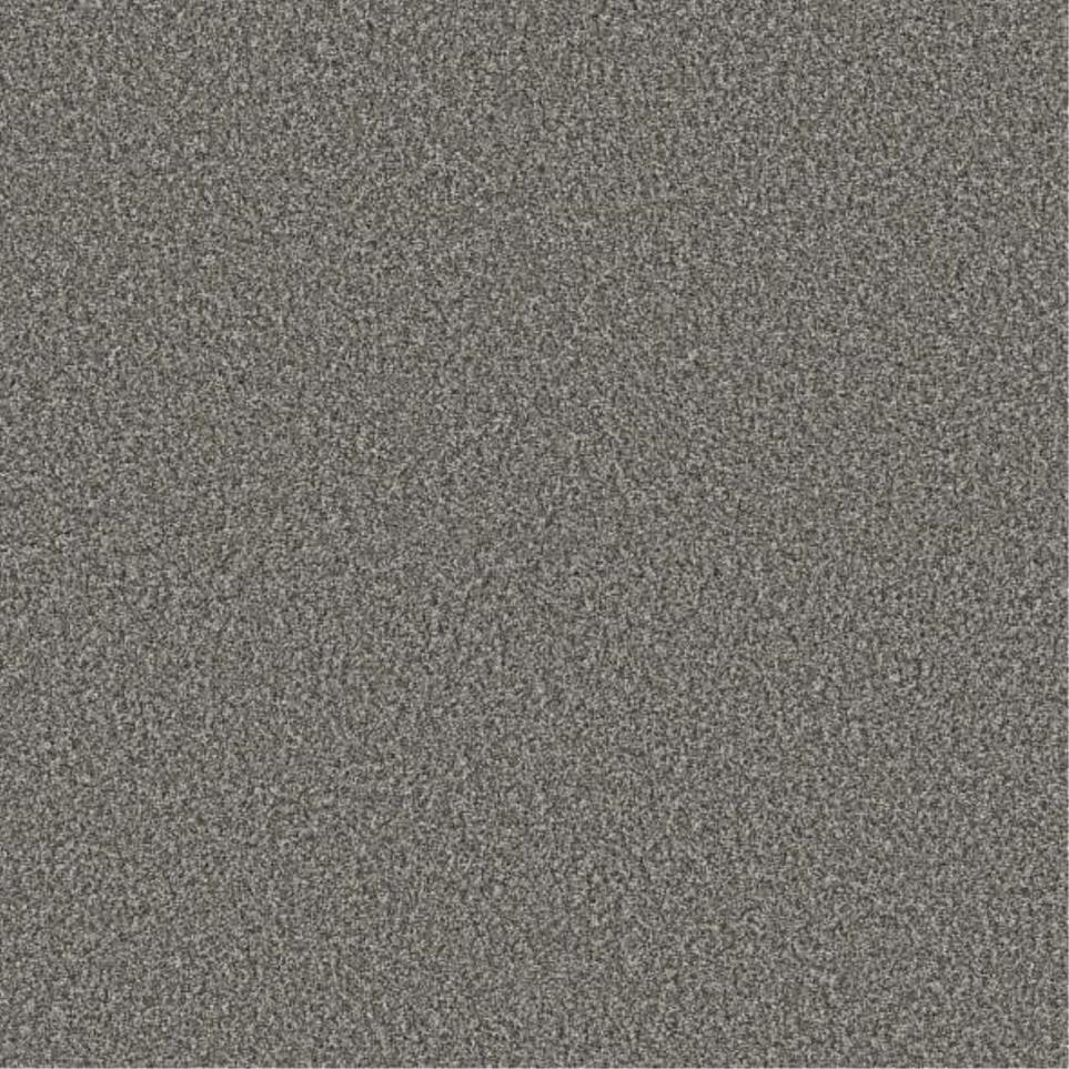 Plush Saxony Spun Wool Beige/Tan Carpet