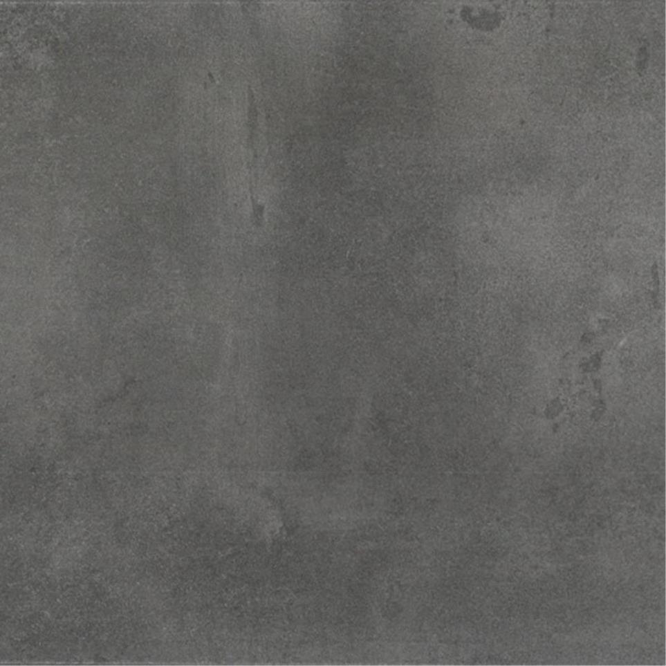 Tile Titanium Light Polished Gray Tile