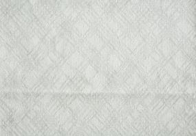 Plush Platinum White Carpet