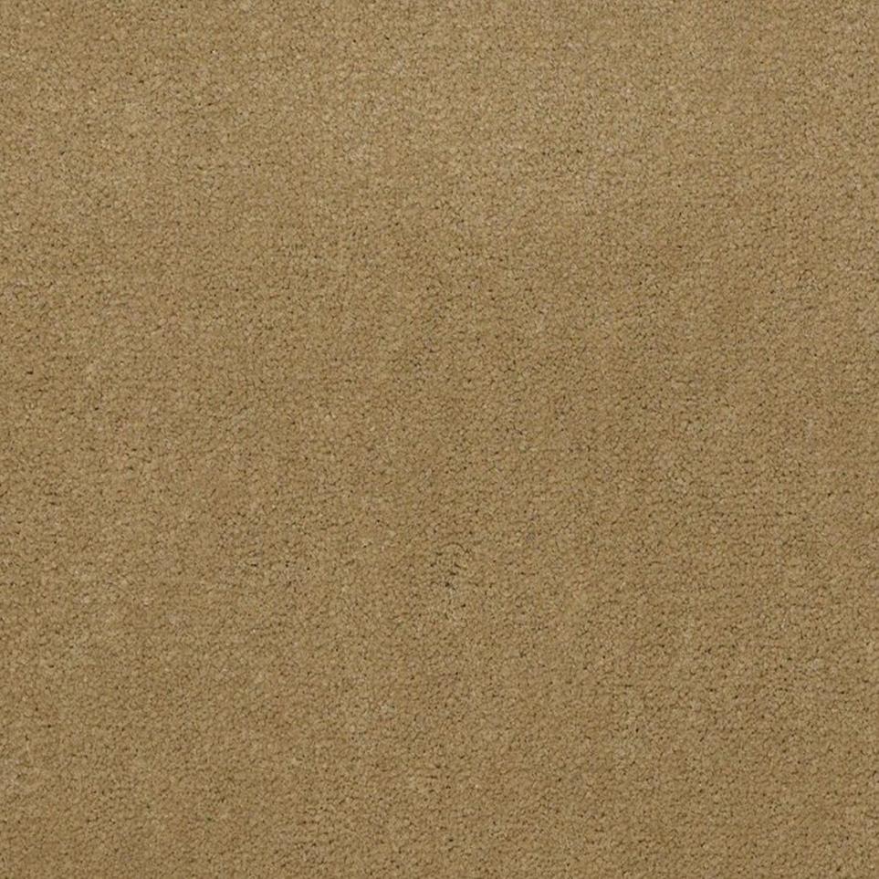 Cut Pile Mummy Beige/Tan Carpet