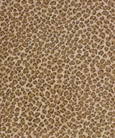 Pattern Beige Brown Brown Carpet