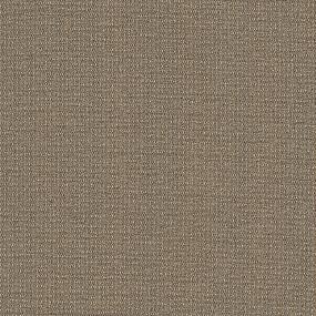 Multi-Level Loop Vignette Brown Carpet