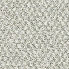 Pattern Turtle Dove White Carpet