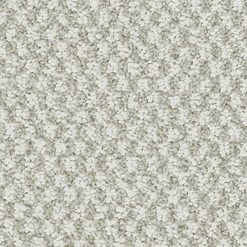 Pattern Turtle Dove White Carpet