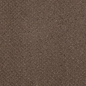 Pattern Mocking Bird Brown Carpet