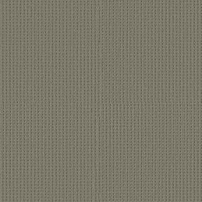 Loop Midnight Gray Carpet