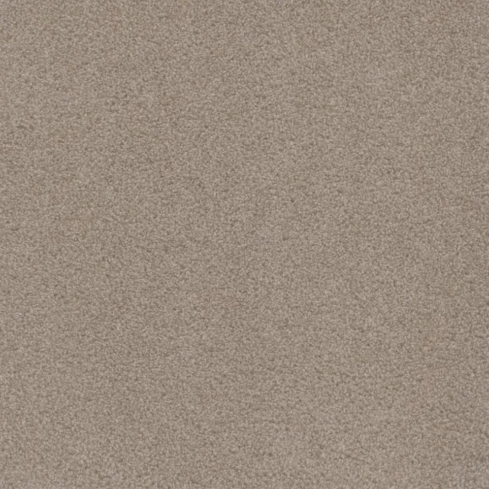 Cut Pile Enjoyable Beige/Tan Carpet
