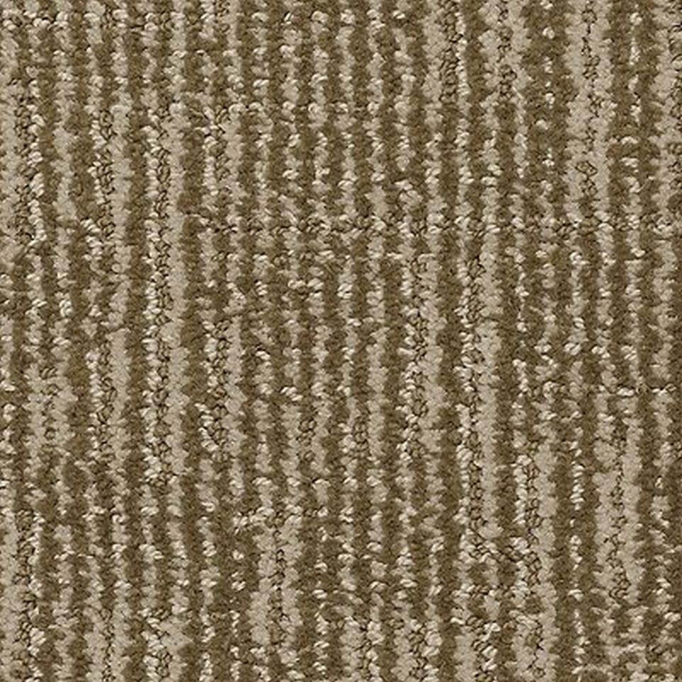 Pattern Sundial Brown Carpet