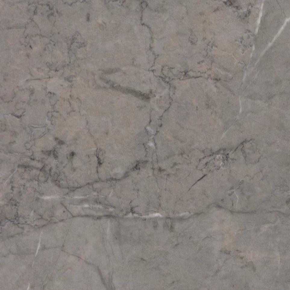 Tile Plank Neolith Gray Vinyl