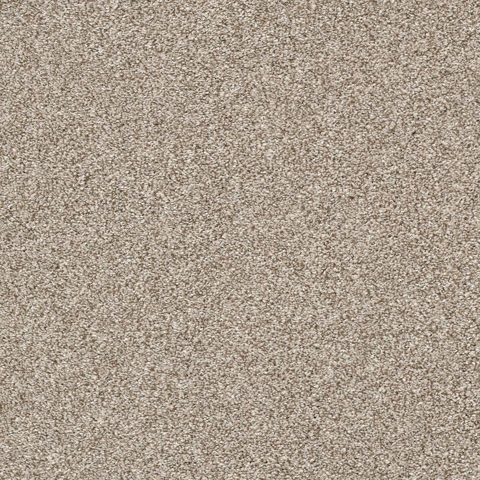 Texture Loyal Beige Beige/Tan Carpet