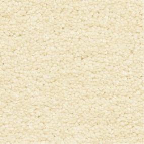 Casual Texture Concha Beige/Tan Carpet